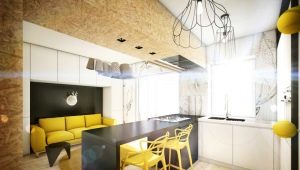 The design of the kitchen-living room 16 sq. m