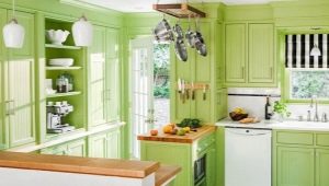 Pistachio kitchens: types and interior design