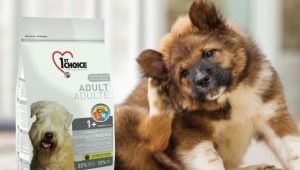 Premium hypoallergenic dog food