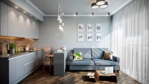 Design ideas for the kitchen-living room 14 sq. m