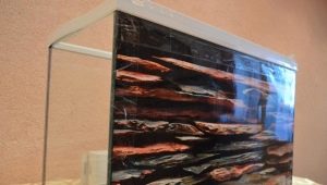 How to glue the background to the aquarium?