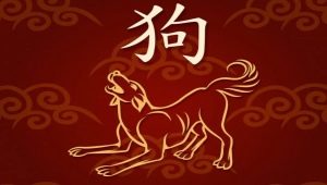 Which animal corresponds to 1946 and what is characteristic of its representatives?