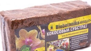 Coconut substrate for snails: types and features of soil use