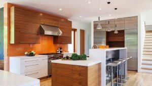 Wood kitchens in a modern style