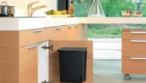 Trash bin: how to choose and properly care?