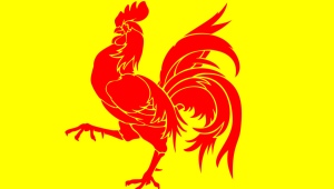 Men Roosters: characteristics, achievements in work and personal life