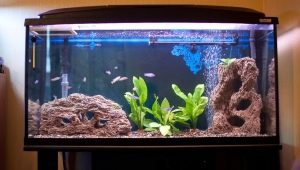 Design an aquarium with a capacity of 200 liters