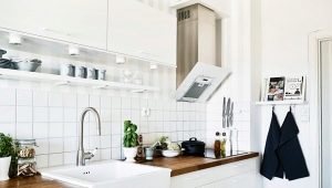 Scandinavian style kitchen interior