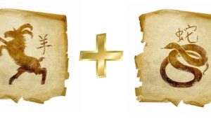 Snake and Goat Compatibility