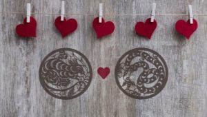 Snake and Rat Compatibility