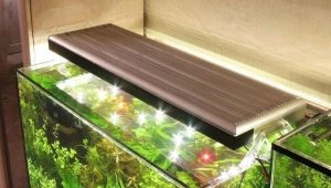 LED aquarium lights: features, selection and application