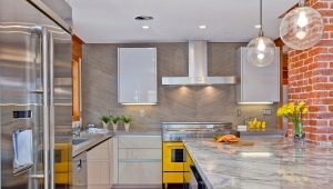 Kitchen design options 20 sq. m