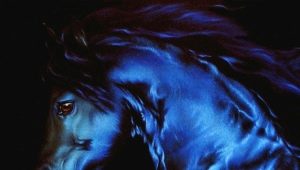 1942 - the year of which animal and what is characteristic of its representatives?