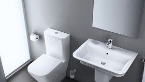 Rimless floor toilets: design, pros and cons, choice