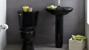 Black toilets: types, choices and options in the interior