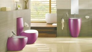 Colored toilets: types and options in the interior