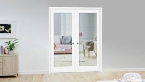 Double doors to the hall: overview of types and recommendations for selection