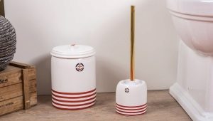 Toilet brushes: varieties, selection and storage