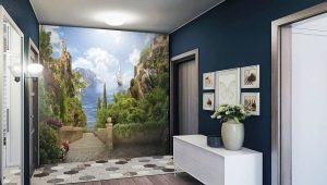 Wall mural in the hallway: the choice and options in the interior