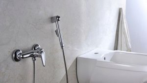 Hygienic shower with mixer: varieties, brands and choices