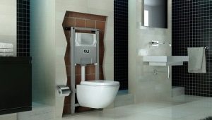 Installation for a toilet: description, types and choice