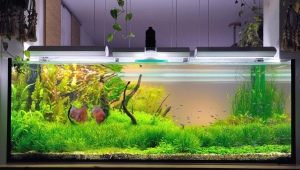 How to make an aquarium with your own hands?
