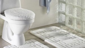 Toilet mats: varieties, choices, examples