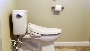 Toilet bidet cover: varieties, brands, selection and installation