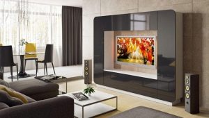 Living room furniture for TV: views, manufacturers and selection tips