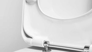 Microlift in the toilet: what is it, what are the pros and cons?