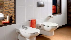 Bidet Overview