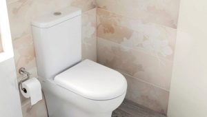 Features of the toilet seat with microlift