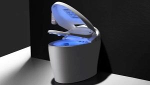 Features of Japanese toilets