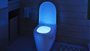 Backlight for the toilet: what happens and how to choose?