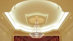 Plasterboard ceilings for the hall: varieties, choices, interesting solutions