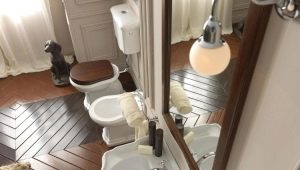 Retro toilets: style features and manufacturers overview