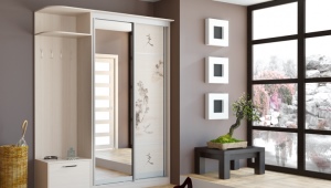 40 cm deep wardrobe in the hallway interior