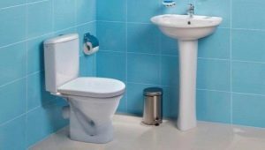 Santek toilet seats: features and recommendations for choosing