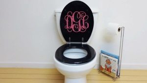 Toilet Seats: Types and Choices