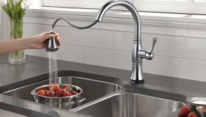 Kitchen faucets with pull-out watering can: features and selection
