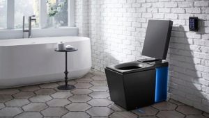 Smart toilets: features and an overview of popular manufacturers