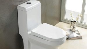 Monoblock toilet: features and recommendations for selection