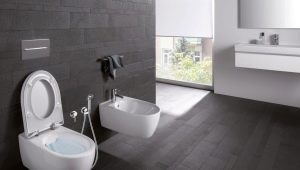 Keramag toilets: lineup, features and specifications