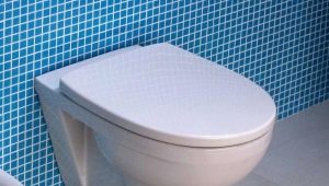 Kolo toilets: a variety of models and selection criteria