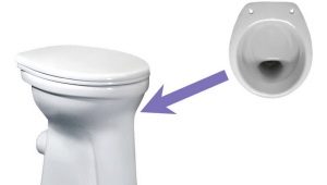 Toilets with a shelf: features, a variety of models and selection criteria