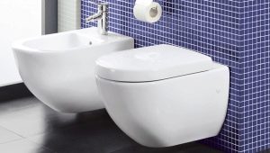 Villeroy & Boch toilets: description and range