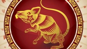 2020 is the year of which animal and what is characteristic of it?