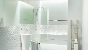 White bathroom: pros and cons, design options