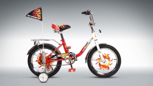 Forward Kids Bikes: A Review of the Best Models