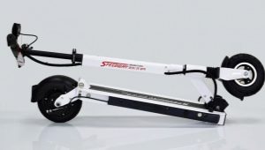 Electric scooters Speedway: a description of the models and tips for use